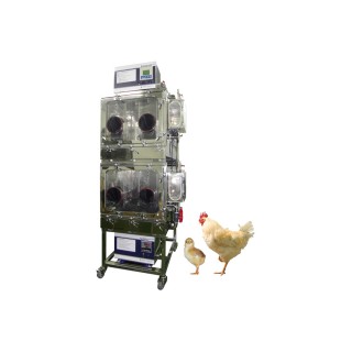 Chicken Hard Isolator