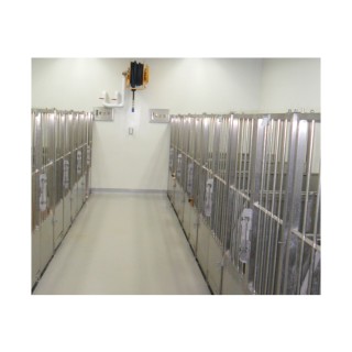 Dog Cage Pens Type